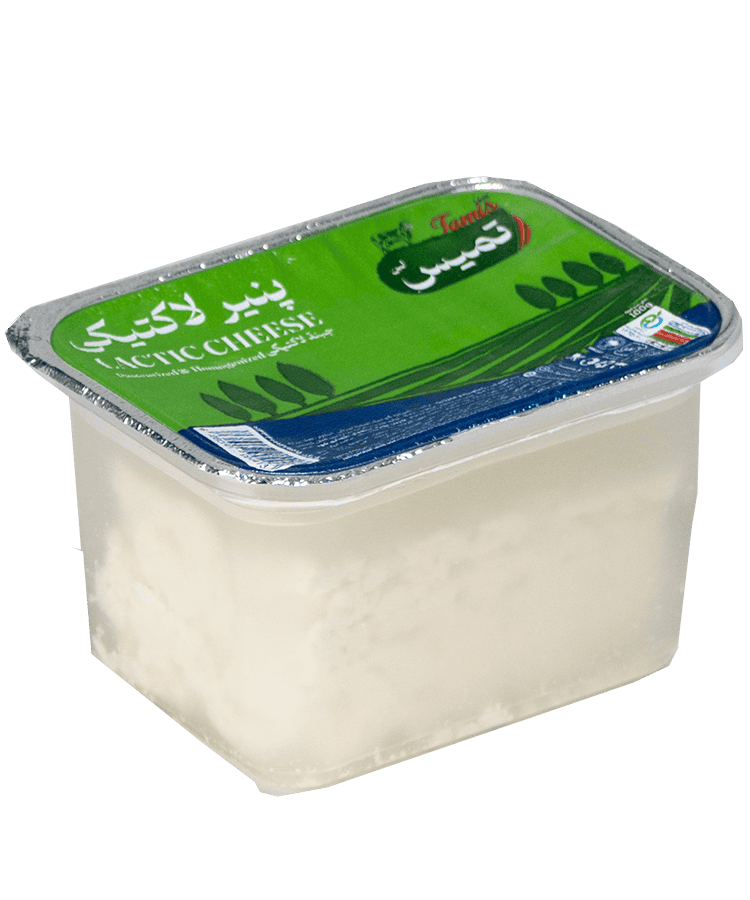 Lactic cheese, 100 grams in 95 diameter 