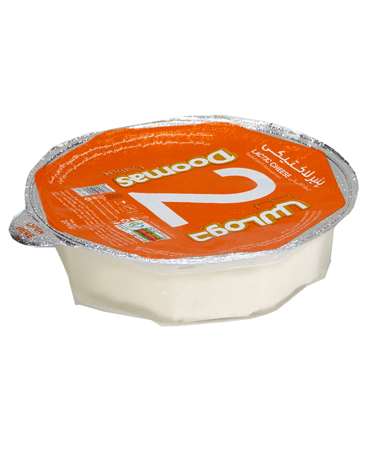 Lactic cheese 100 gr